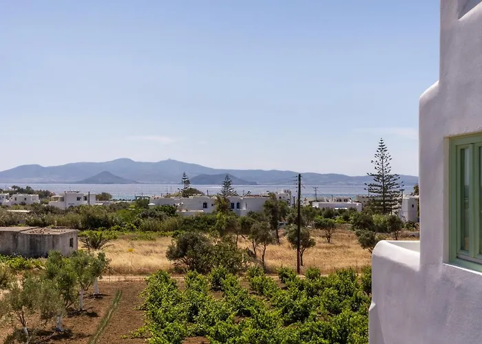 Vino Luxury Apartment Agia Anna (Naxos)